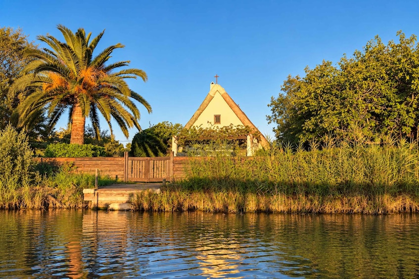 Picture 4 for Activity Valencia: Albufera Guided Tour with Boat Ride, Drink&Sunset 2