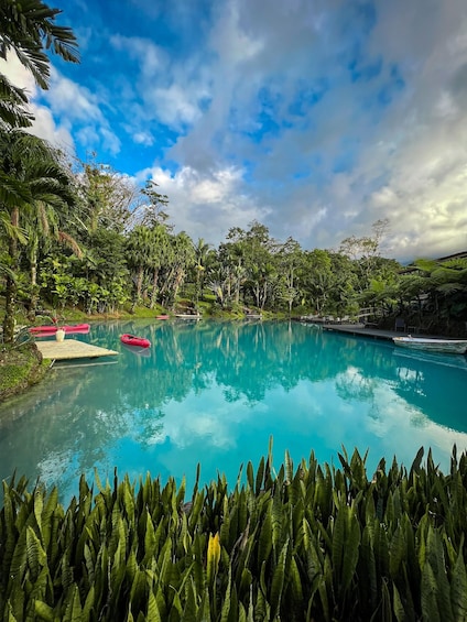 Picture 6 for Activity Rincon de la Vieja: Blue Waterfall Experience & Hot Springs 3
