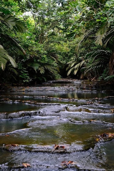 Picture 4 for Activity Rincon de la Vieja: Blue Waterfall Experience & Hot Springs 5