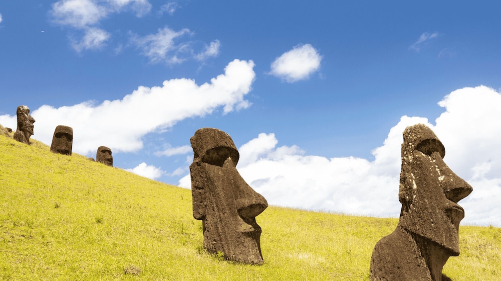 Picture 22 for Activity Easter Island: Private Full Day History Of The Moai 4