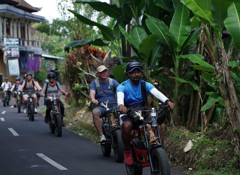 Picture 17 for Activity Ubud: Rice Terraces & Villages Half-Day Fat Tire E-Bike Tour 4