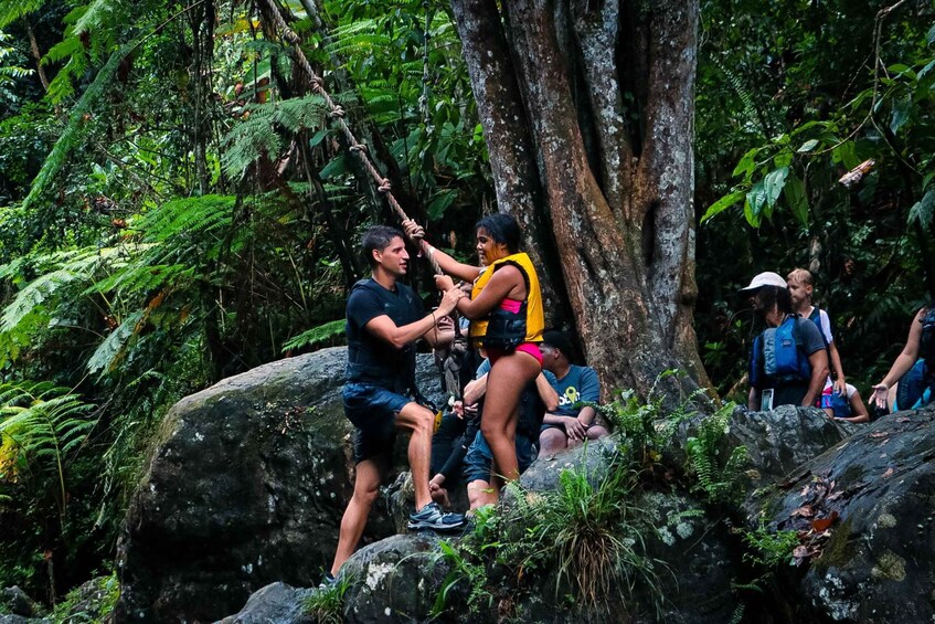 Picture 7 for Activity El Yunque Rainforest: Water Slide & Rope Swing with Pickup 5