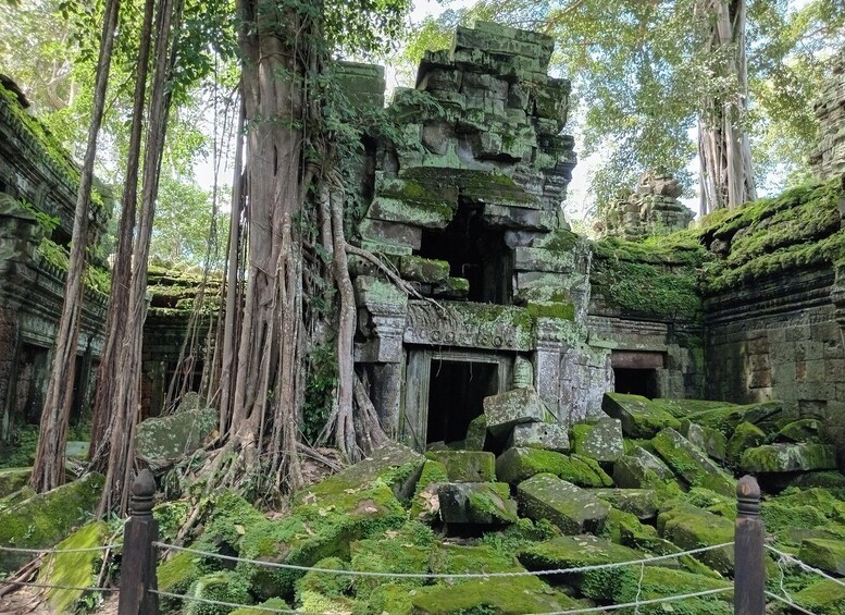 Picture 24 for Activity 1-Day private Angkor Temple Tour from Siem Reap 4