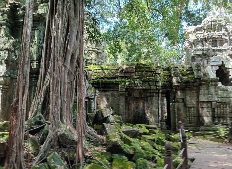 Picture 30 for Activity 1-Day private Angkor Temple Tour from Siem Reap 5