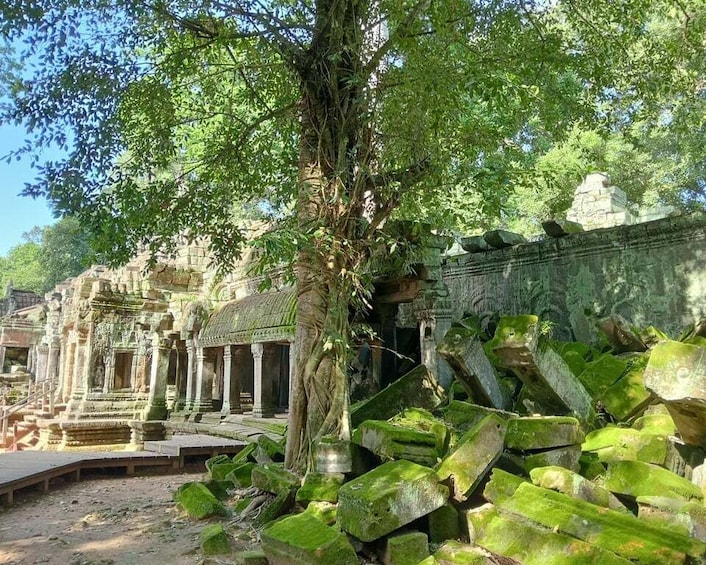 Picture 58 for Activity 1-Day private Angkor Temple Tour from Siem Reap 4