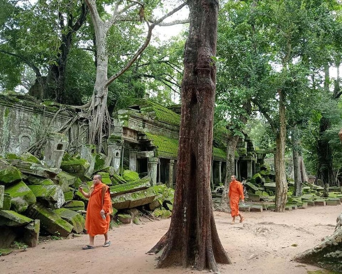 Picture 6 for Activity 1-Day private Angkor Temple Tour from Siem Reap 2