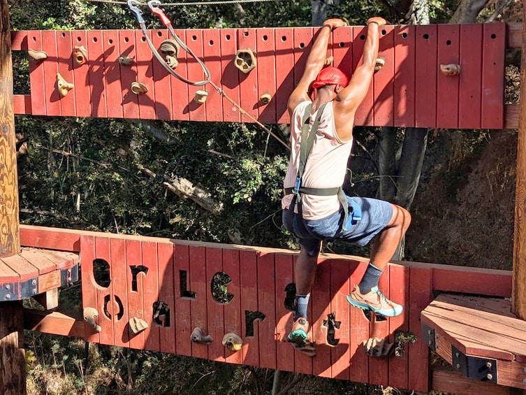 Adventure Course Extreme – Obstacle Course, Rappel & Climbing Wall 5