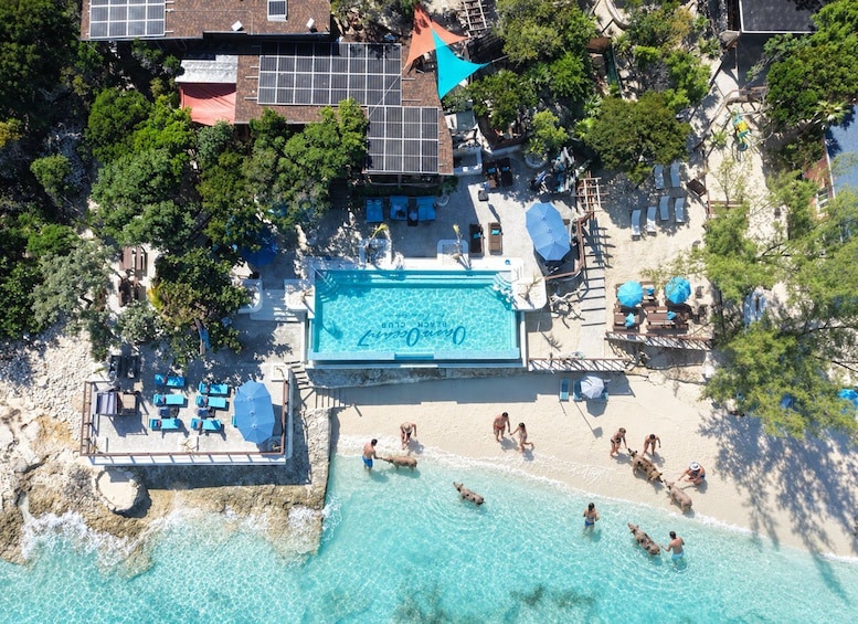 Nassau: Pigs, Snorkel, Turtles, Lunch, Private Beach Club 1