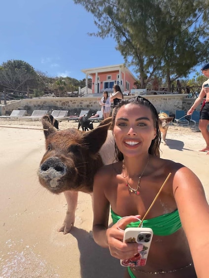 Picture 9 for Activity Nassau: Pigs, Snorkel, Turtles, Lunch, Private Beach Club 5