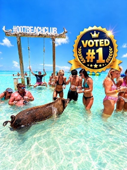 Nassau: Pigs, Snorkel, Turtles, Lunch, Private Beach Club 1