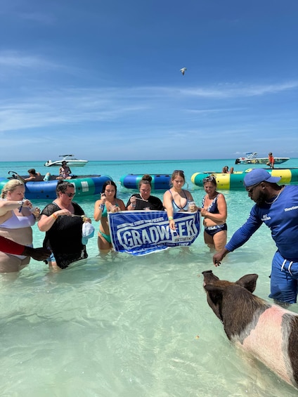 Picture 75 for Activity Nassau: Pigs, Snorkel, Turtles, Lunch, Private Beach Club 2
