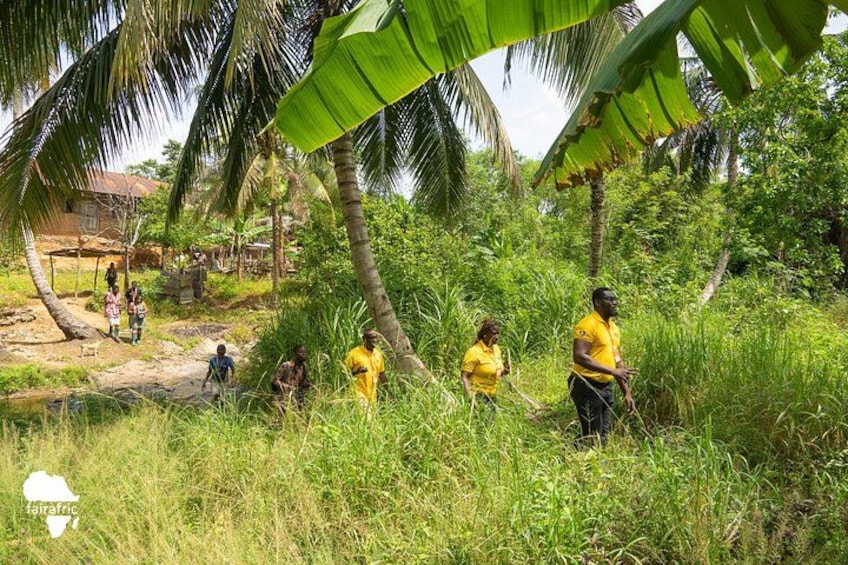 Persone con camicie gialle in un ambiente tropicale rigoglioso, con palme e fitta vegetazione. 5