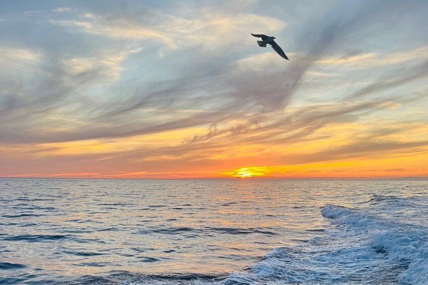 Monterosso : Cinque Terre Boat Tour Day or Sunset with Aperitif 2