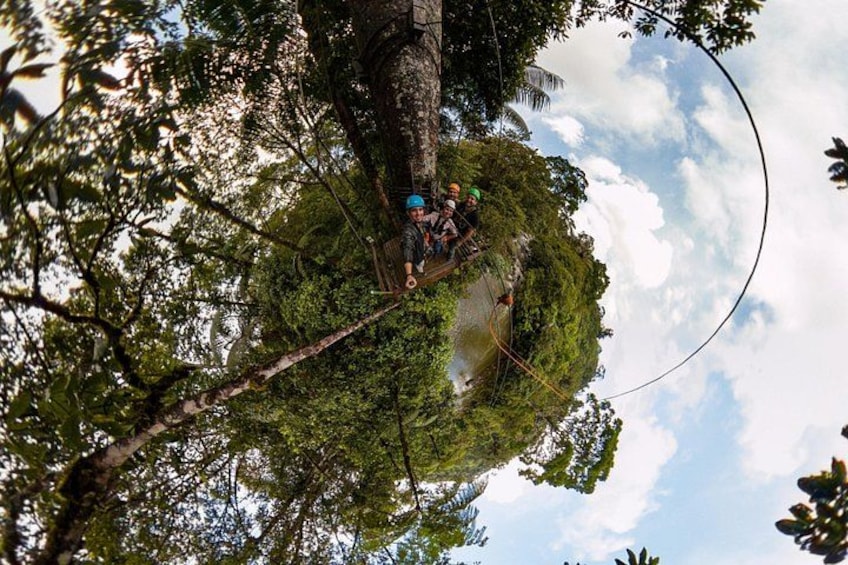 A tree with people climbing it. 2