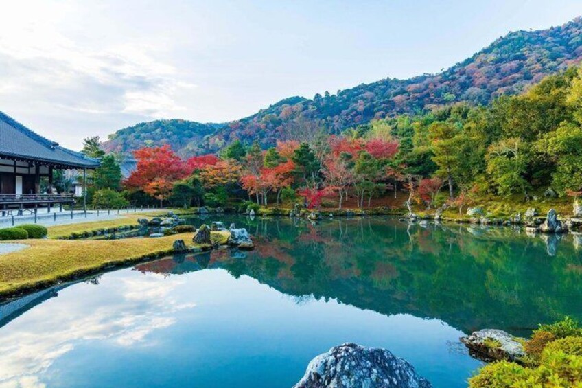Kyoto and Nara Day Tour with Fushimi Inari Arashiyama & Nara Park 3