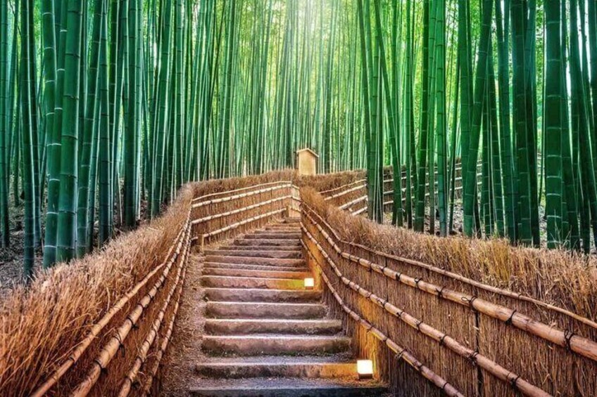 Kyoto and Nara Day Tour with Fushimi Inari Arashiyama & Nara Park 5