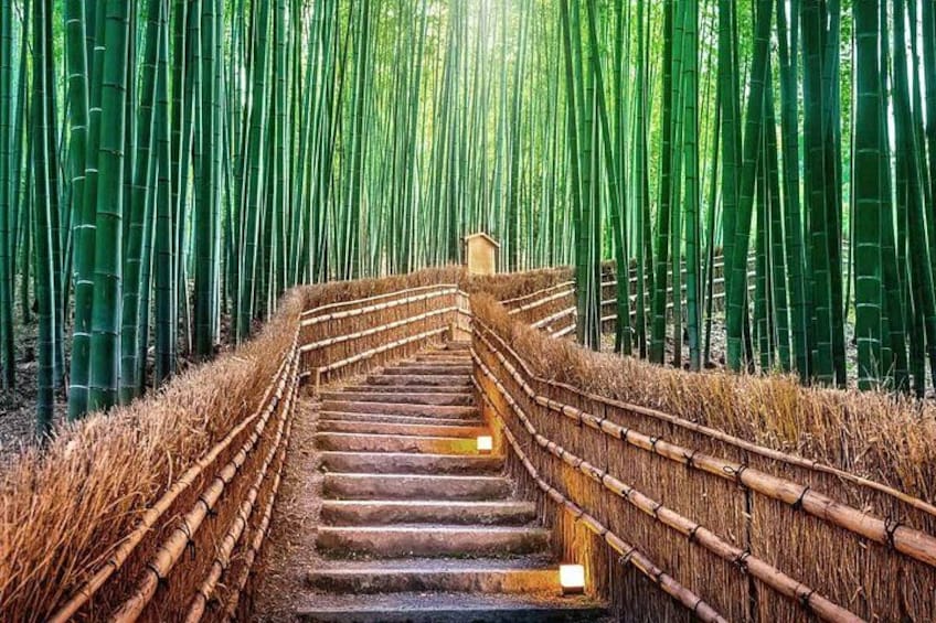 A bamboo forest with a wooden staircase leading down. 5