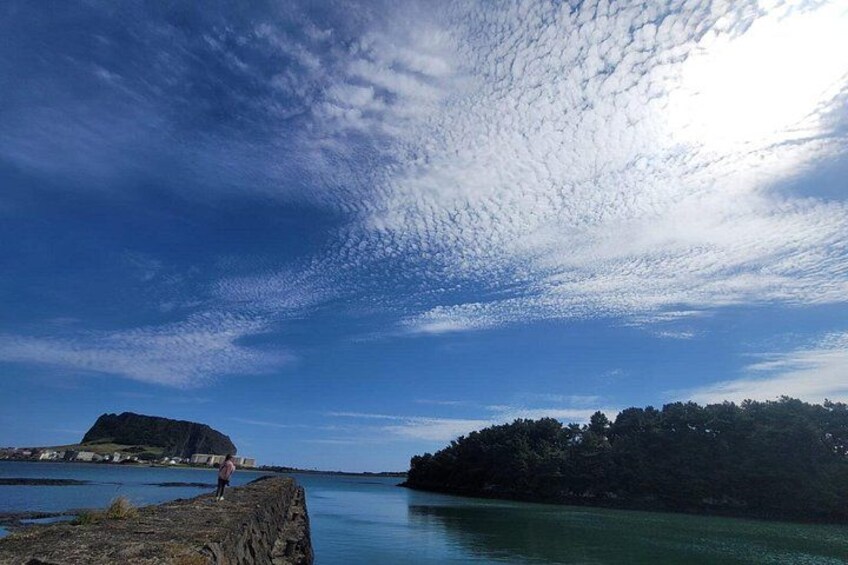 Jeju Day Tour - World Heritage & UNESCO 3