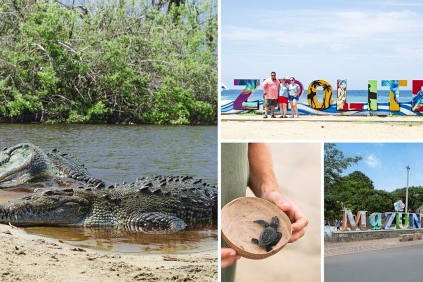 Een alligator, een strand met mensen en een bord waarop de tekst 'ZOLITZ' staat. 1