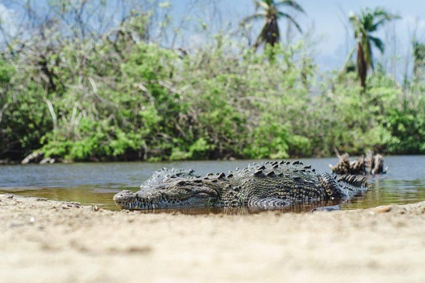 Half-Day Tour to Ventanilla, Mazunte, Zipolite and Puerto Angel 3
