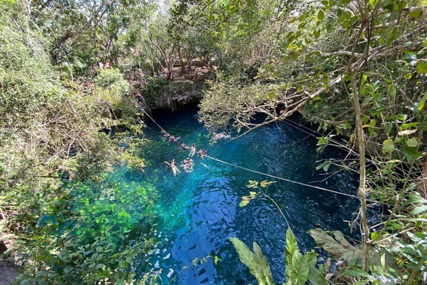A clear blue water body surrounded by dense vegetation and trees. 5