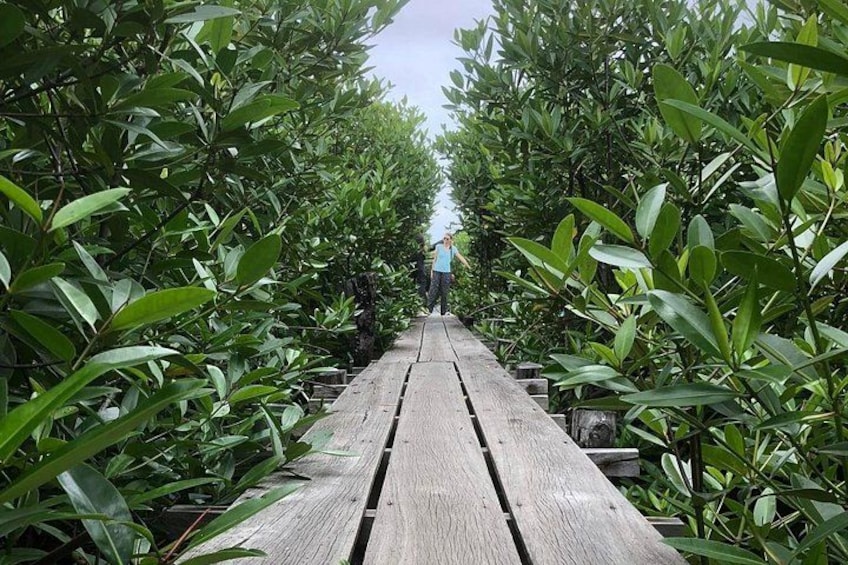 A wooden pathway flanked by dense green foliage, leading towards a person in the distance. 1