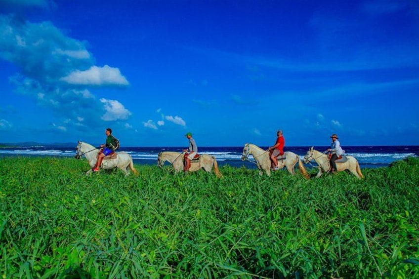 Horseback Riding at Mahogany Bay 1