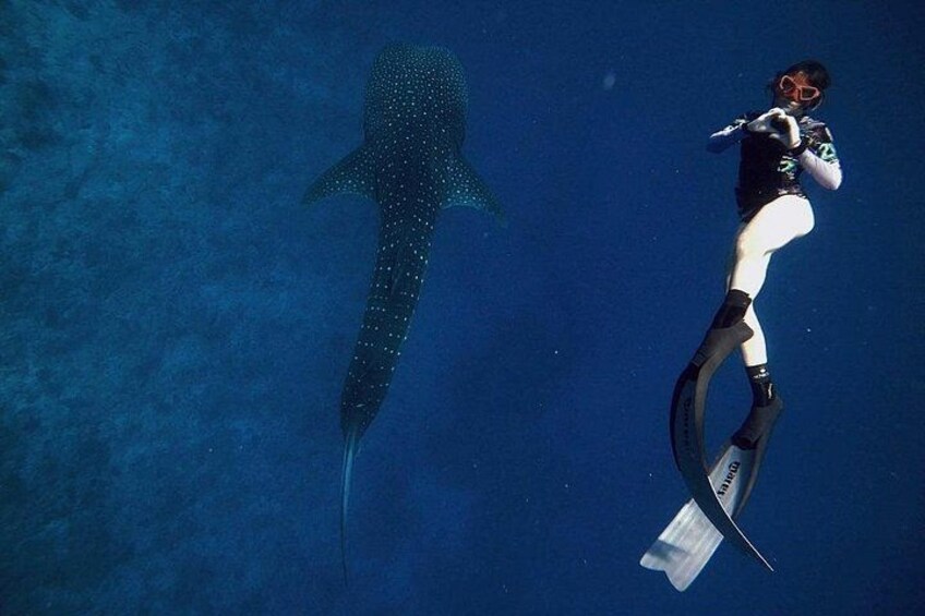 Discover South Ari Atoll - Full Day Tour from Male city 5