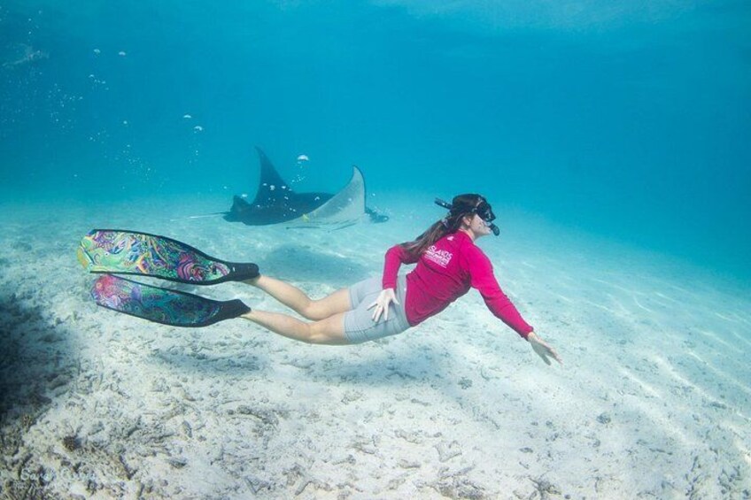 A person scuba diving underwater with colorful fins and a shark in the background. 3