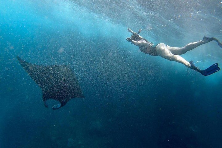 Discover South Ari Atoll - Full Day Tour from Male city 3