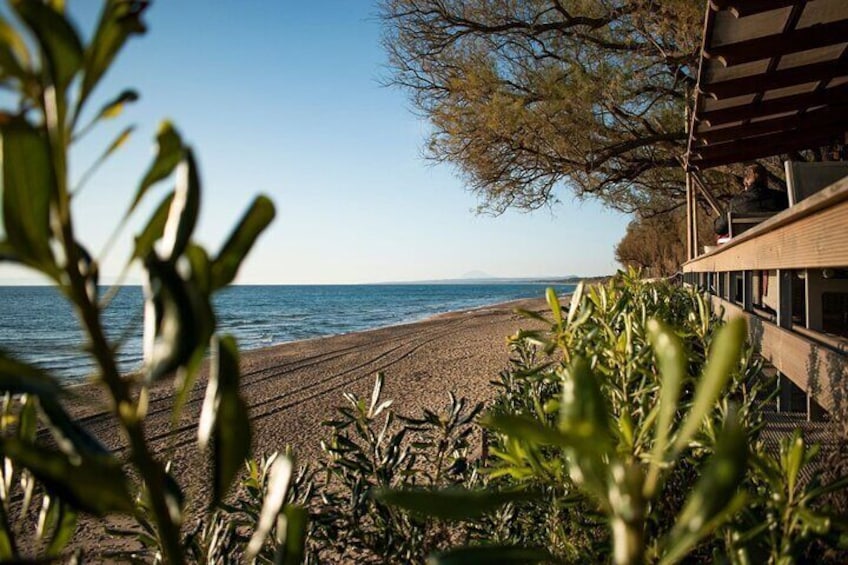 Ancient Olympia & Kourouta Beach - All Included Tour 1