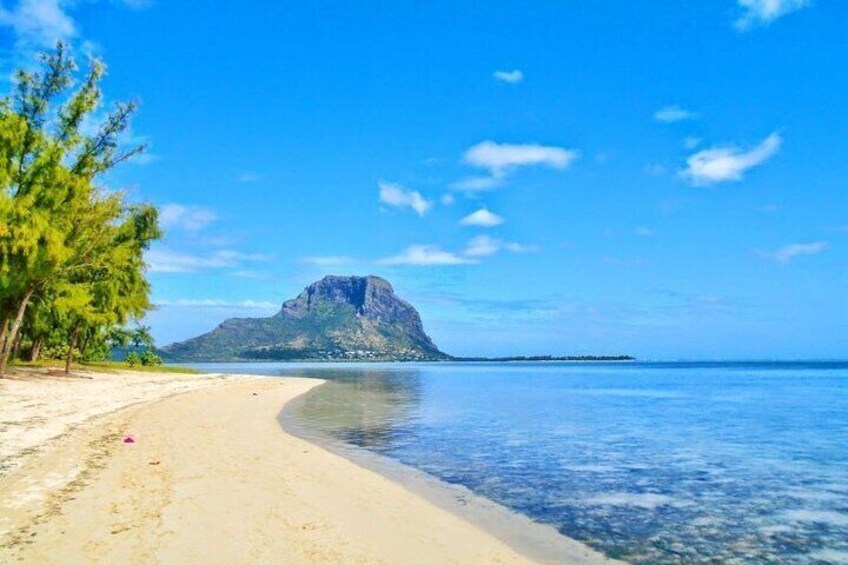 Dolphins Swim and Ile Aux Bénitiers in Mauritius