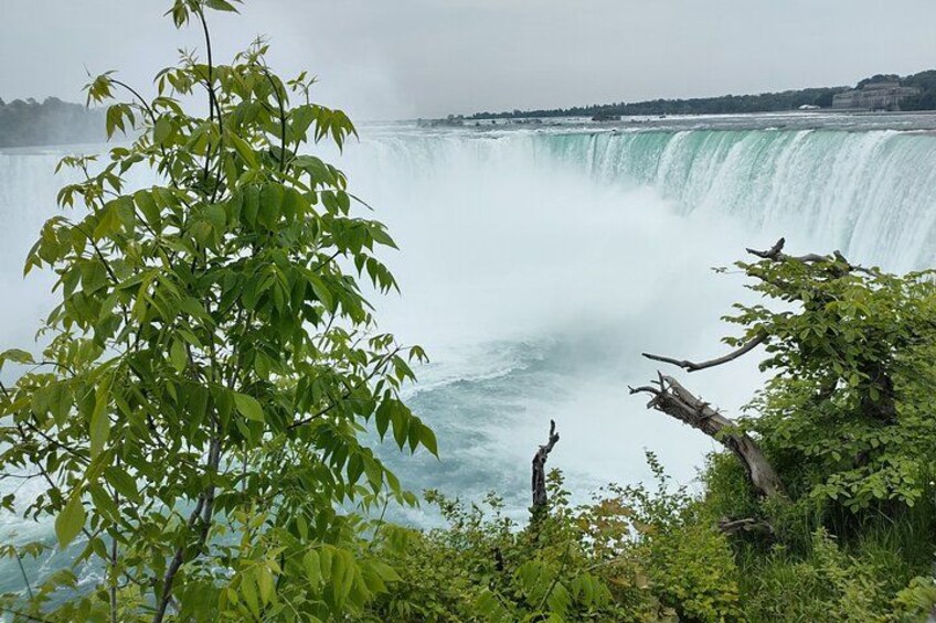 A waterfall with surrounding greenery. 3