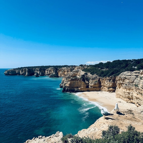 Picture 12 for Activity From Faro: Benagil, Algar Seco & Marinha Beach Tour 2