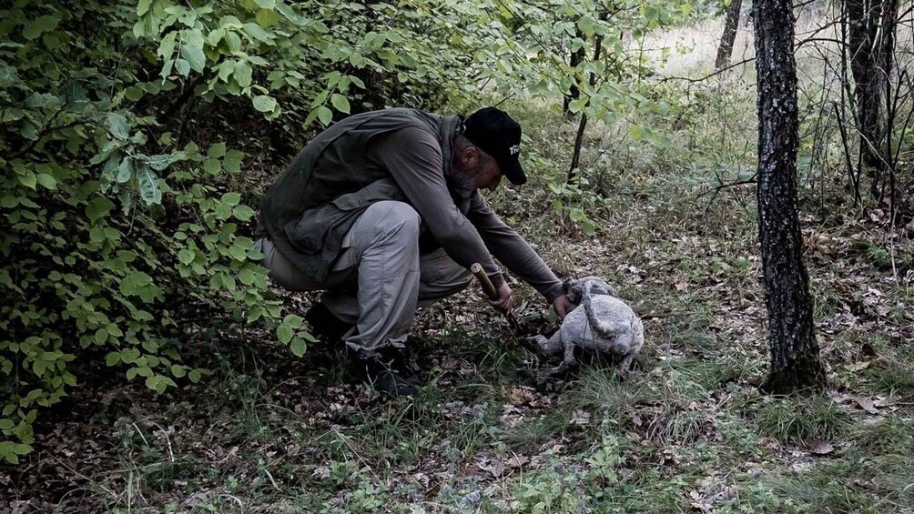 Una persona agachada en un bosque, sosteniendo un conejo. 3