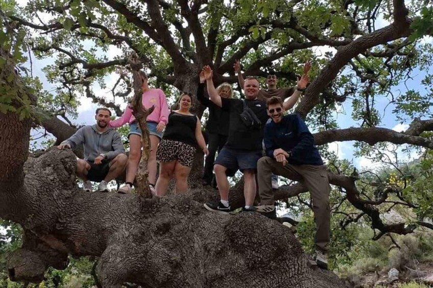 Off-Road Quad Safari Tour with Lunch and free Transfers 2