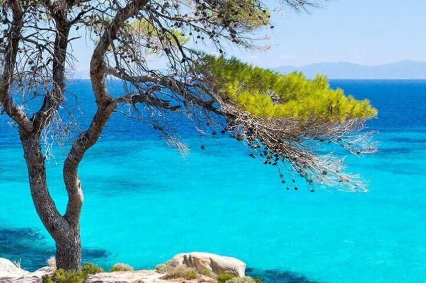 Swimming and relax in beautiful beaches.(Max. group 8 people's) 1