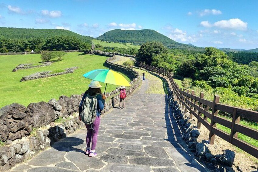 Private Tour Sangumburi Crater & Jeju stone park in jeju island 2