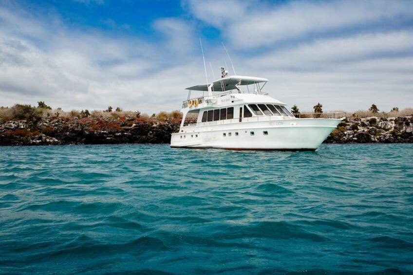 Un yacht blanc sur des eaux turquoise, près d’une côte rocheuse où la végétation est clairsemée. 4