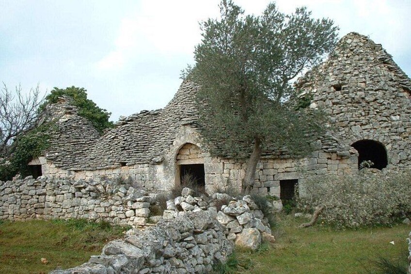 Alberobello: The secret origins of the trulli, private tour 2 hours 2