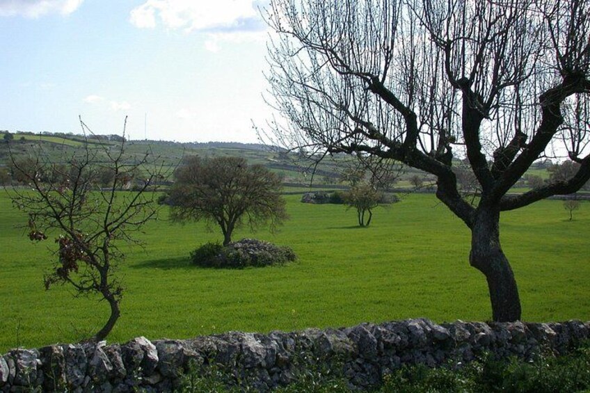 Alberobello: The secret origins of the trulli, private tour 2 hours 2