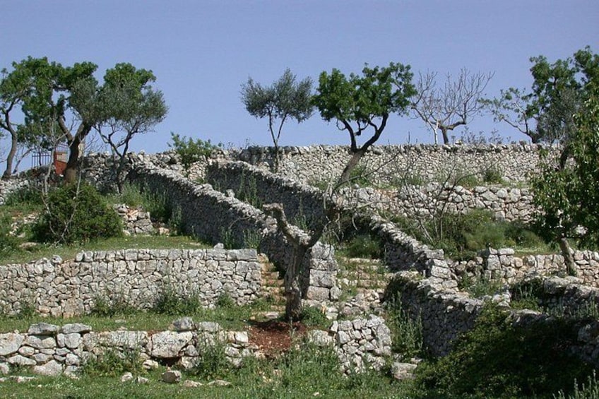 Alberobello: The secret origins of the trulli, private tour 2 hours 1