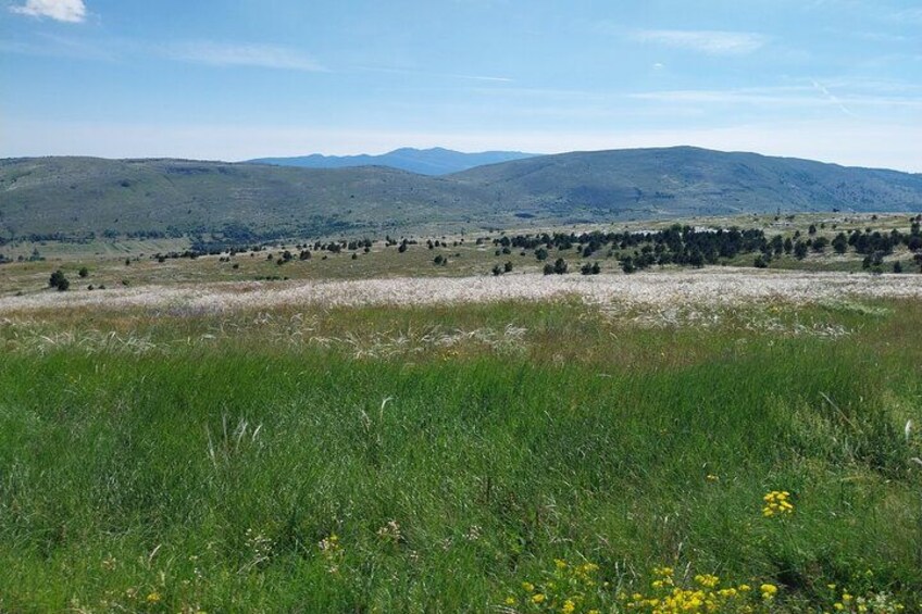From Split: Small group ATV ride in Dinara NP 3