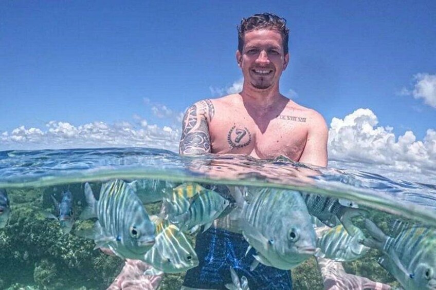 Een persoon in het water, omringd door zwemmende vissen. 3