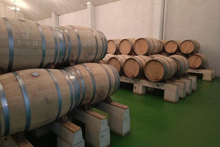 Hermanos Peciña Winery 2