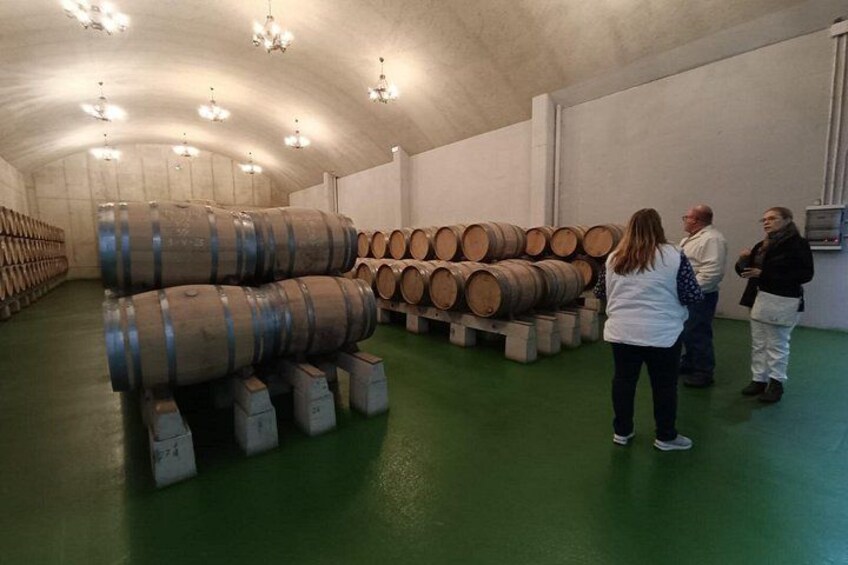 Winery 3