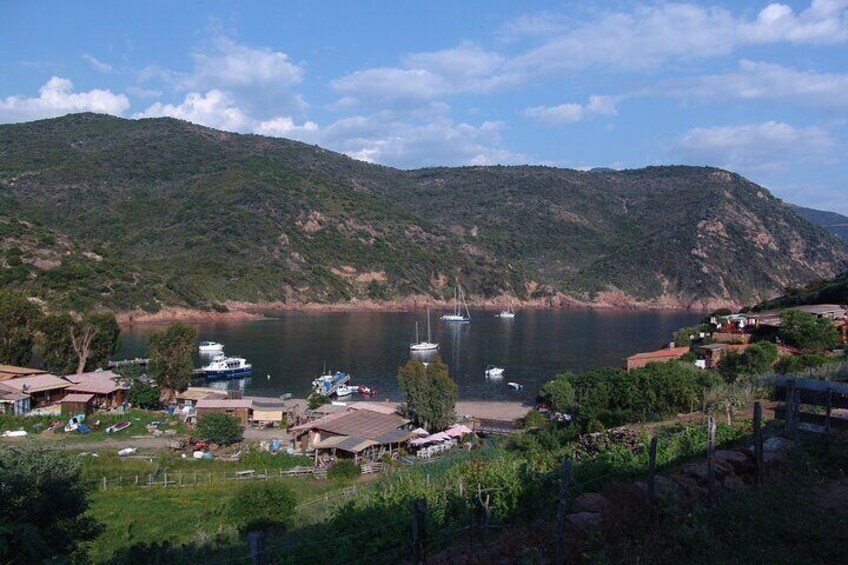 A coastal village with boats, houses, and hills in the background. 3