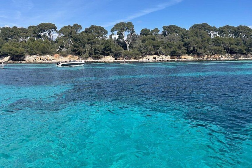 Discover the Lérins Islands and the Bay of Cannes by Private Boat 3