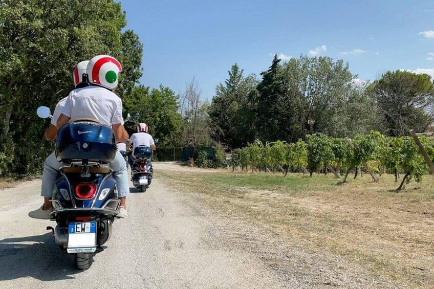 Two motorcyclists on a rural road with vineyards on the side. 4