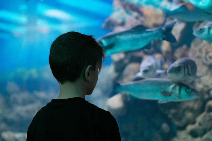 Corfu Aquarium Ticket with Tour Included 1